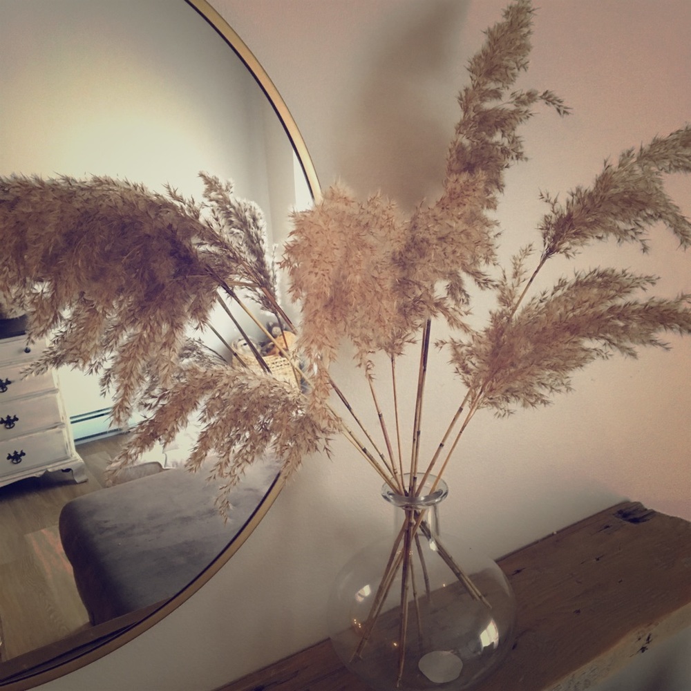 Pampas Grass Stems